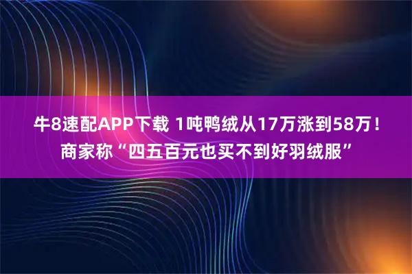 牛8速配APP下载 1吨鸭绒从17万涨到58万！商家称“四五百元也买不到好羽绒服”