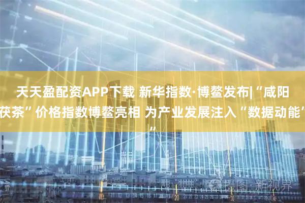 天天盈配资APP下载 新华指数·博鳌发布|“咸阳茯茶”价格指数博鳌亮相 为产业发展注入“数据动能”