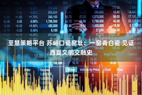 至慧策略平台 苏峪口瓷窑址：一窑青白瓷 见证西夏文明交融史