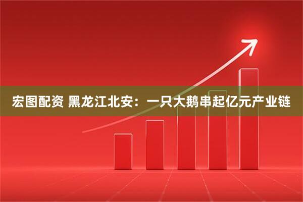 宏图配资 黑龙江北安：一只大鹅串起亿元产业链