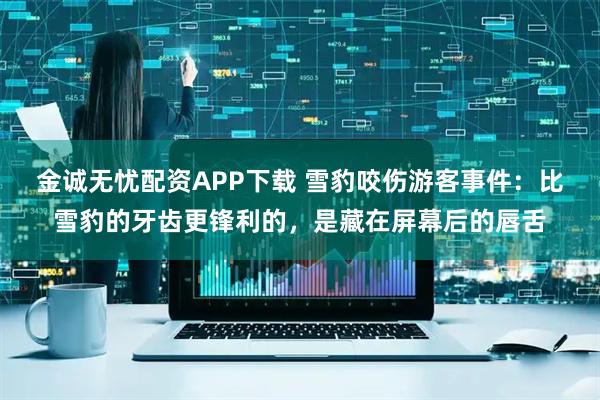金诚无忧配资APP下载 雪豹咬伤游客事件：比雪豹的牙齿更锋利的，是藏在屏幕后的唇舌